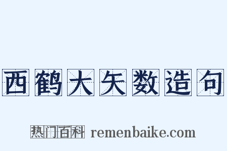 西鹤大矢数造句是什么意思的图片
